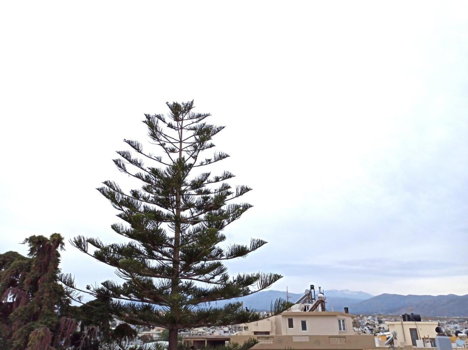 Renovated Loft Near The Center Apartment Heraklion  Exterior photo